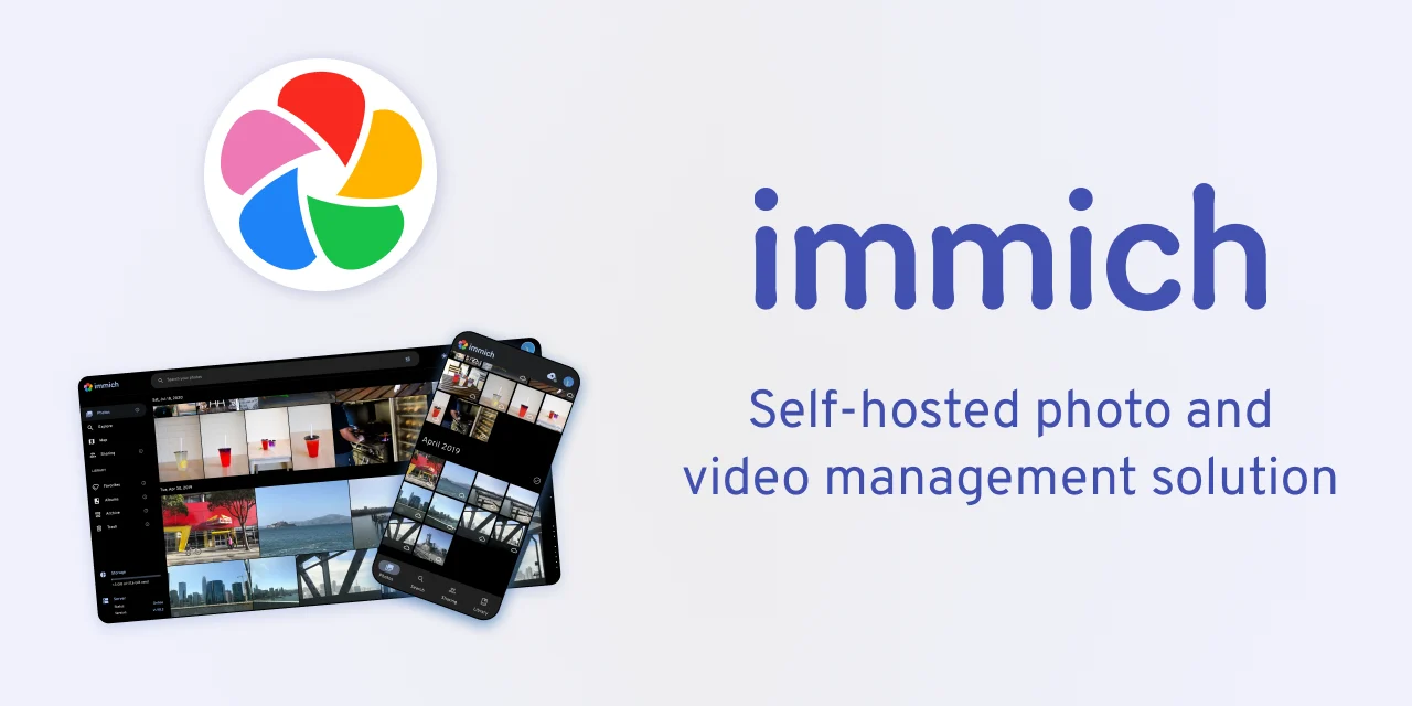 Immich self-hosted photo management app dashboard displaying multi-device sync and phone backup