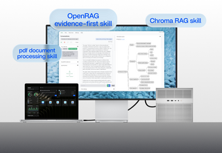 Why Do Multiple RAG Collections Compete for RAM on a Home Server?