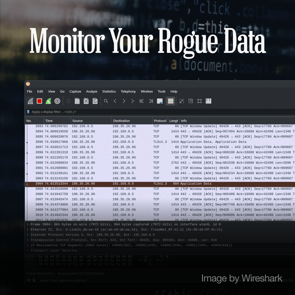 Can You Roll Back a Container Image Without Losing App Data? - Zima Store Online