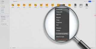 Why Does Query Expansion Hurt Precise Searches for File IDs and Dates?
