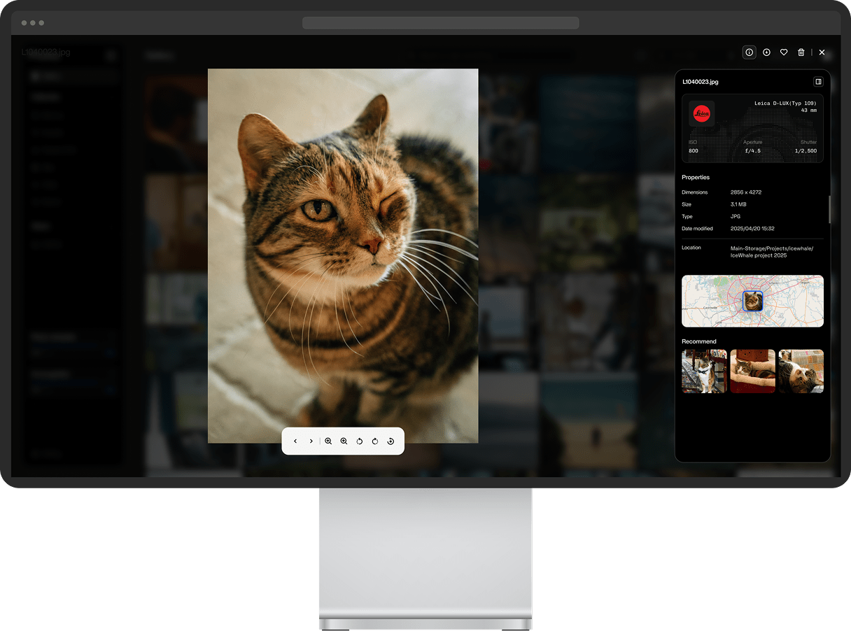 How to Build a Private Digital Hub for Your Pet’s Photos, Records, and Safety Information - Zima Store Online