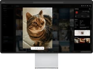 How to Build a Private Digital Hub for Your Pet’s Photos, Records, and Safety Information