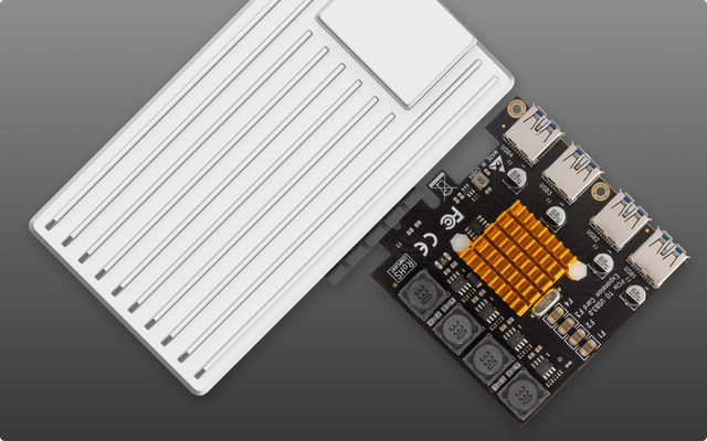 What Is Plex State, and Which Parts Must Persist?