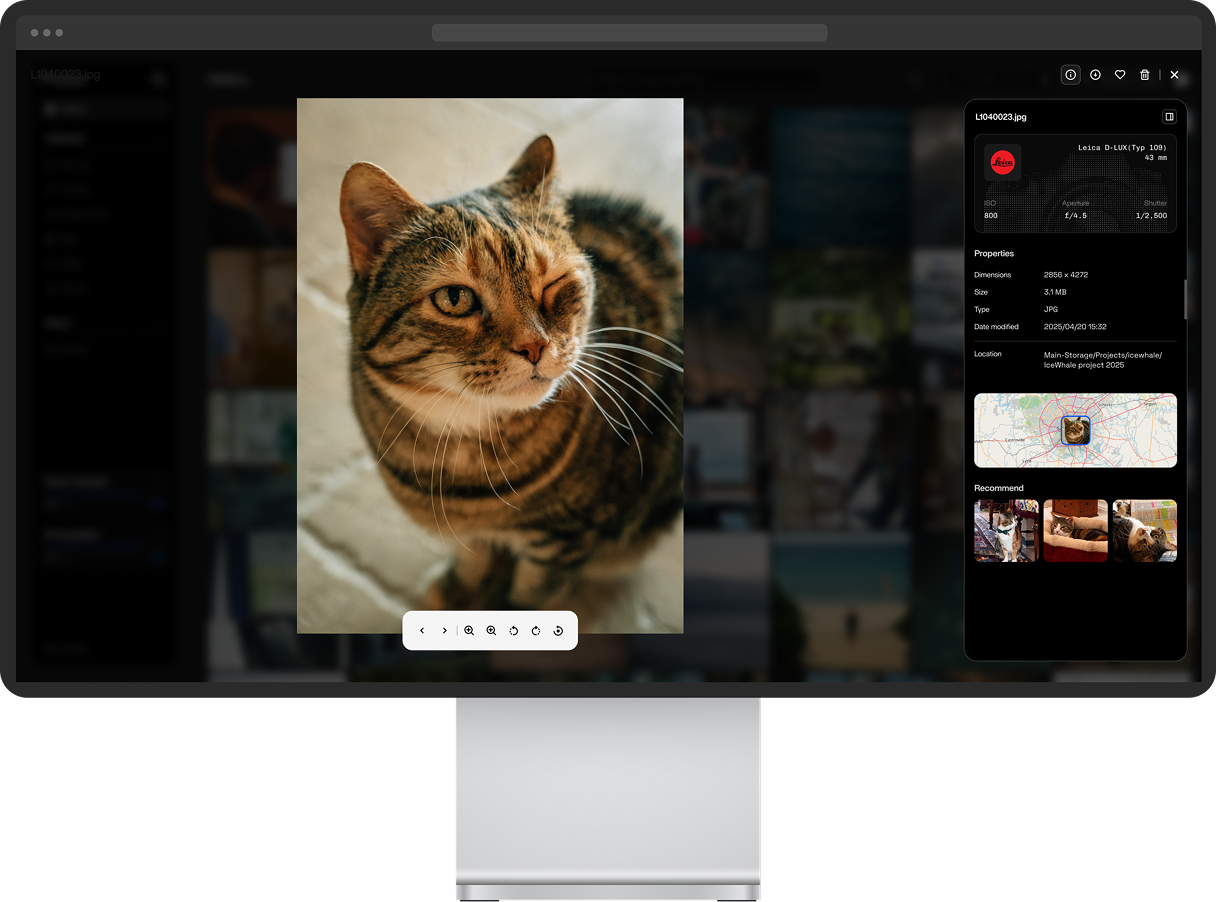 How to Build a Private Digital Hub for Your Pet’s Photos, Records, and Safety Information