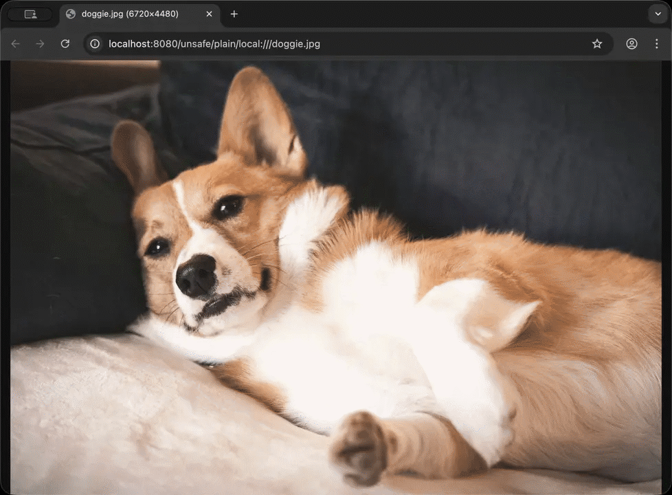 imgproxy Hardware Requirements: RAM, CPU, Storage & Pixel Workload & Transformations
